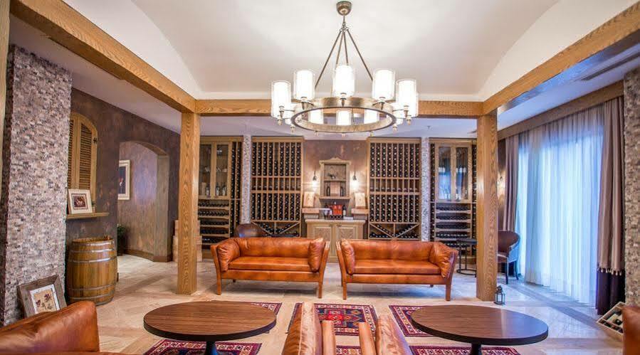 فندق اكسلسيور شامكير Shamkir المظهر الخارجي الصورة